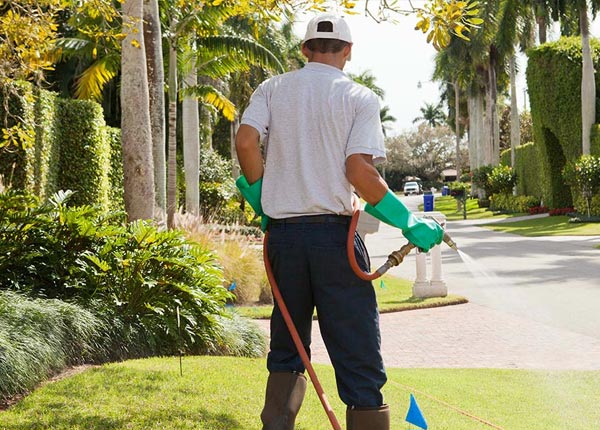 About Belleview FL Pest Control